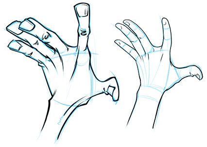 Push Your Poses to the Extreme! Drawing Cartoon Hands | Art Rocket Cartoon Hands, Drawing Hands, Hand Drawing Reference, Hand Reference, Perspective Art, Bones And Muscles, Animation Reference, Anatomy Drawing, Clip Studio Paint