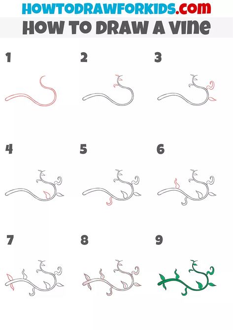 How to Draw a Vine - Easy Drawing Tutorial For Kids How To Draw A Vine Step By Step, Draw Vines And Leaves, Vine Painting Simple Canvas, Vines Painted On Walls, How To Draw Vines Step By Step, How To Draw A Vine, Flower Vine Drawing Simple, How To Paint Vines, Vine Painting Simple