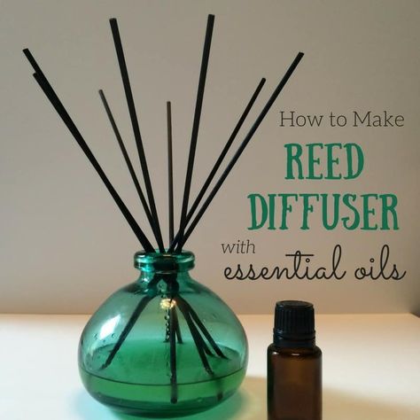 Reed Diffuser Recipe, Diy Reed Diffuser, Homemade Reed Diffuser, Oils For Energy, Essential Oil Reed Diffuser, Helichrysum Essential Oil, Reed Diffuser Oil, Essential Oils For Pain, Cedarwood Oil