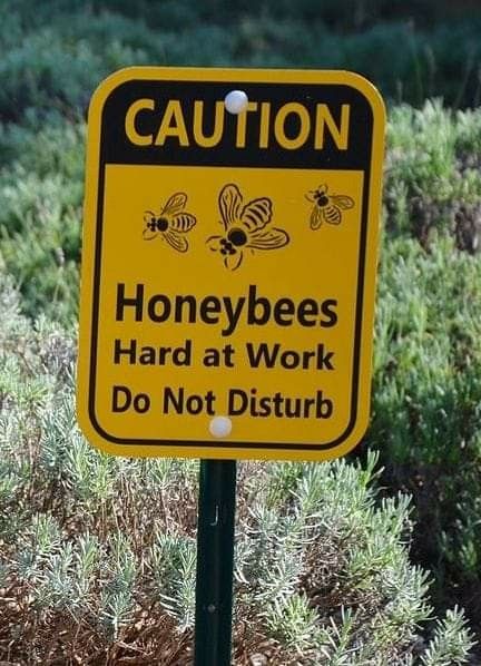 Bee Hive Aesthetic, Bee Hive Sign, Welcome To Our Hive Sign, Bee Hive Stand, Bee Farming Beekeeping, Bee Hives Diy, Bee Room, Spice Garden, Honey Brand