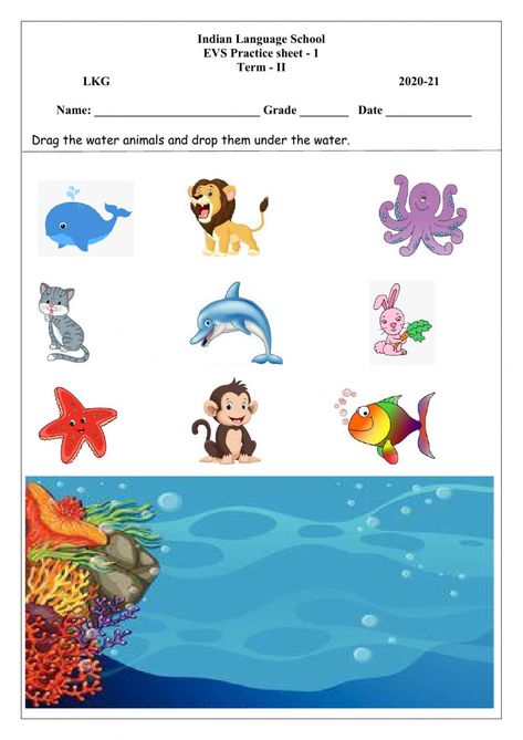 Water Animals Worksheet, Water Animals Worksheets For Kids, Animals Worksheets For Kindergarten, Cursive Small Letters, Jolly Phonics Songs, Plants Worksheets, Kindergarten Names, Emotions Preschool, Alphabet Crafts Preschool