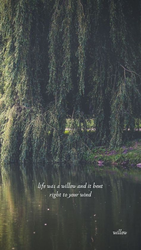 Life Was A Willow, Lyrics Widget, Disney Sayings, Willow Wallpaper, Fall Lyrics, Taylor Swift Lyric Quotes, Swift Quotes, Willow Trees, Taylor Swift Song Lyrics