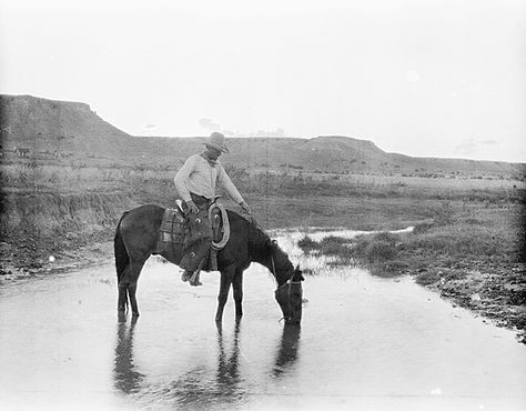 Texas Pictures, Cowboy Photography, Old West Photos, Real Cowboys, American Frontier, Western Life, Cowboy Horse, Old Train, Texas History