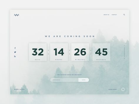 Daily UI #014 - Countdown Timer by Tamara Timer Website, Website Counter, Number Counter, Event Countdown, Origins Ginzing, Business Marketing Design, Company Newsletter, Business Things, Earth Month