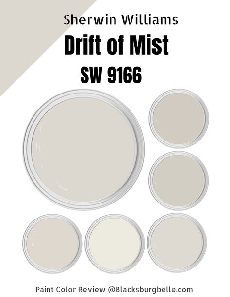 Sherwin Williams Drift of Mist (Palette, Coordinating & Inspirations) Sherwin Williams Crushed Ice Coordinating Colors, Crushed Ice Sherwin Williams Kitchen, Crushed Ice Sherwin Williams Living Room, Crushed Ice Sherwin Williams, Sherwin Williams Gale Force, Alpaca Sherwin Williams, Gray Paint Colors Sherwin Williams, Silver Grey Paint, Farmhouse Colors