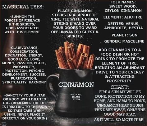 Cinnamon Magick, Magical Herbs Witchcraft, Money Spells Magic, Wicca Recipes, Hoodoo Magic, Hoodoo Conjure, Hoodoo Spells, Magickal Herbs, Witchy Tips