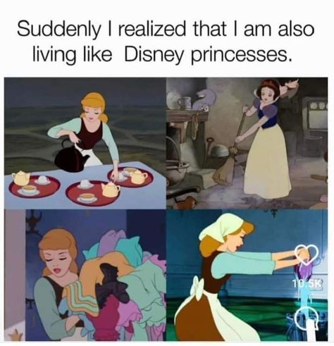 Disney Memes Hilarious, Memes Hilarious So True, Another Cinderella Story, Evil Stepmother, Princess Movies, A Cinderella Story, Disney Facts, Disney Princes, Disney Sleeping Beauty