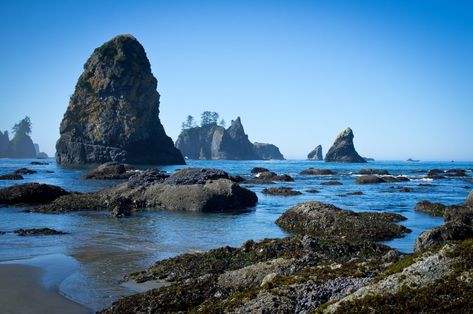 National Parks to visit in summer Washington Beaches, Rialto Beach, Great American Road Trip, Washington Travel, West Coast Road Trip, American Road Trip, Hidden Beach, Summer Destinations, Summer Road Trip