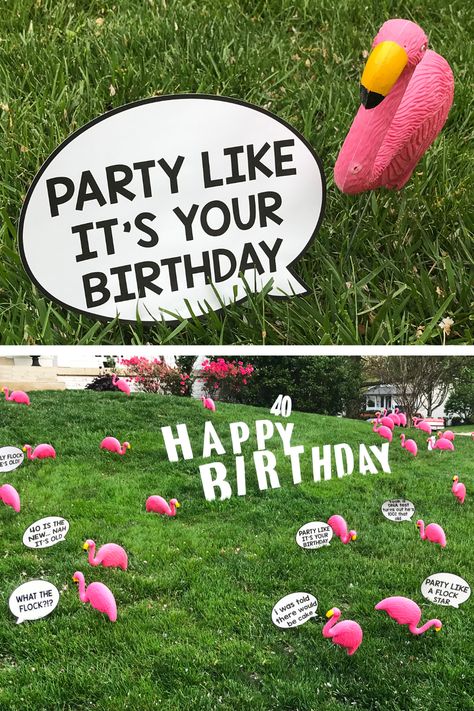 Free printable birthday yard signs.  We've taken the flocked flamingos to a whole new level with these fun birthday speech bubbles. Plastic flamingos are available at the dollar store. Decorate Yard For Birthday, 21st Birthday Yard Decorations, Diy Yard Signs Stakes, Yard Birthday Decorations, Front Yard Birthday Decorations, Birthday Lawn Decorations, Birthday Yard Decorations, Diy Flamingo, Paper Dahlia