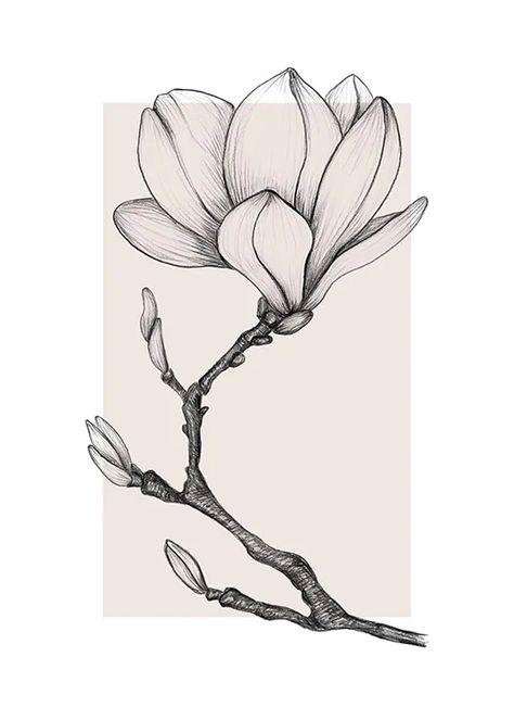 Magnolia Drawing, Hur Man Ritar Blommor, Flower Drawing Tutorials, Pastel Poster, Gold Poster, Flower Art Drawing, Flower Sketches, Seni Cat Air, Online Wall Art