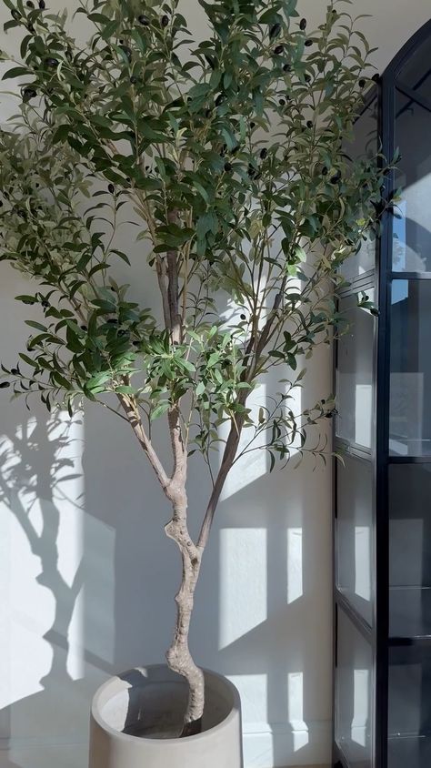 Artificial Tree Faux Olive Tree … curated on LTK Faux Trees Indoor Decor, Indoor Olive Tree, Dream Spa, Greige Walls, Tree Faux, Dreams Spa, Faux Olive Tree, Silk Tree, Faux Tree