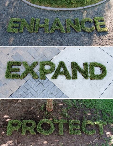 Grass typography by Jenn Maine Grass Typography, Graffiti Wallpaper, Public Relations, Maine, Graffiti, Typography, Things To Come, Media