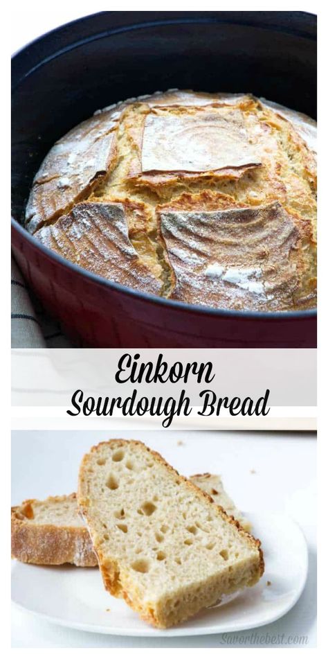 Same Day Sourdough Bread, Einkorn Sourdough Bread, Same Day Sourdough, Einkorn Sourdough, Homemade Sourdough Bread Recipes, Einkorn Bread, Easy Sourdough Bread Recipe, Einkorn Recipes, Gluten Free Sourdough