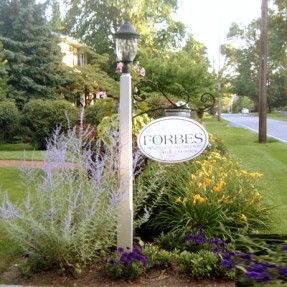 Related image Patio Sails, Pinterest Plant, Driveway Entrance Landscaping, Mailbox Landscaping, Garden Lamp Post, Backyard Shade, Driveway Entrance, Driveway Landscaping, Garden Lamp