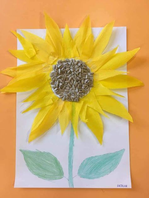 Sunflower Craft, Sunflower Crafts, Spring Crafts, Diy For Kids, Sunflower, Seeds