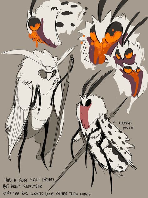 Bug Character Design, Hollow Knight Oc, Bug People, Knight Oc, Cute Moth, Hollow Art, Moth Art, My Workspace, Knight Art