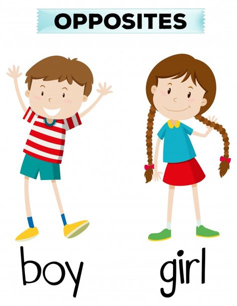 Opposite words for boy and girl Free Vector Opposites Preschool, Face Clipart, English Activities For Kids, Opposite Words, Learning English For Kids, Flashcards For Kids, Kids English, English Language Teaching, English Lessons For Kids