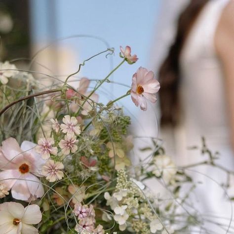 @brutebotanical on Instagram: "Nadia & Greg, one year ago 🤍  A gorgeous September wedding brought together flawlessly by @sophia.goff and captured with utmost care by @albanykatz" Sophia Goff, Wellness Retreat, September Wedding, One Year Ago, Bring It On, On Instagram, Instagram