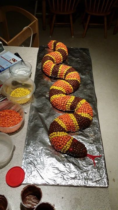 Reese's pieces snake cake that took my uncle six hours to make for my cousin's birthday. - Imgur Snake Cake, Snake Cakes, Snake Birthday, Snake Party, Reptile Party, Reese's Pieces, Deco Jungle, Festa Harry Potter, Cousin Birthday