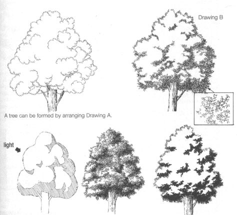 Material & Textures 1 Tree Drawings Pencil, Tree Tutorial, مركز ثقافي, Pencil Drawing Tutorials, Tree Textures, Tree Sketches, Landscape Sketch, Architectural Sketch, Plant Drawing