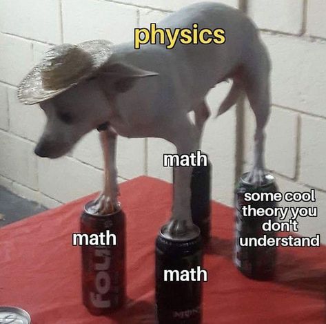 Physics Jokes, Nerd Memes, Nerdy Jokes, Physics Memes, Nerdy Humor, Studying Memes, Science Puns, Nerd Jokes, Happy Meme