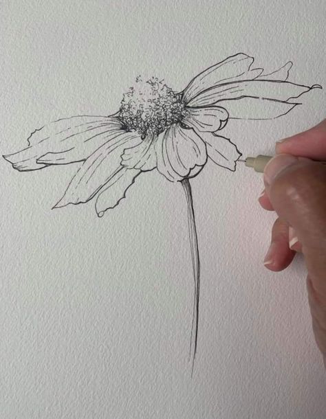 Ako Kresliť, Flower Drawing Tutorials, Flower Art Drawing, Minimalist Tattoos, Flower Sketches, Floral Drawing, Watercolor Flower Art, 수채화 그림, Watercolor Art Lessons