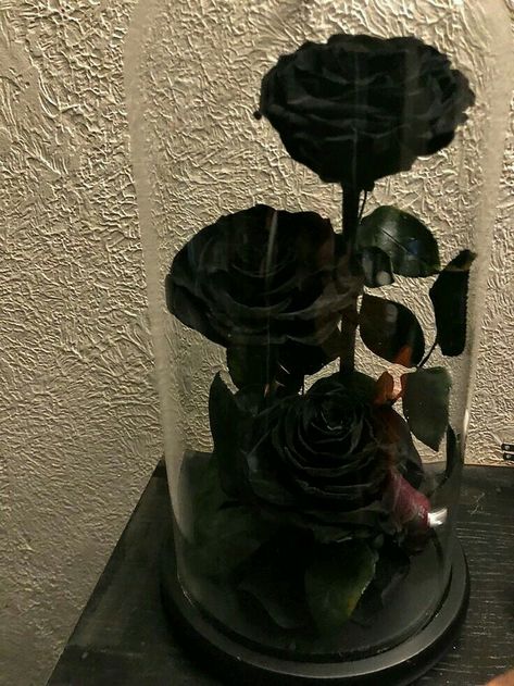 Real Black Roses, Black Rose Bouquet, Black Bouquet, Black Rose Flower, Red Roses Wallpaper, Luxury Flower Bouquets, Rosé Aesthetic, Black Roses, Nothing But Flowers