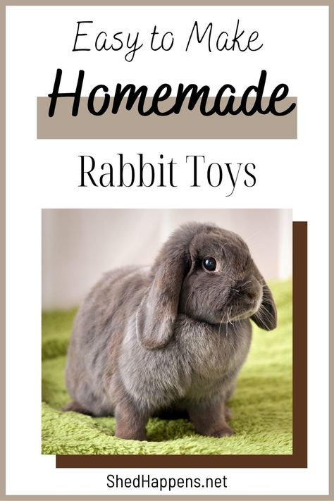 A grey lop-eared rabbit standing on a green blanket in front of a beige backdrop. Text states 'easy to make homemade rabbit toys'. Diy Bunny Toys Toilet Paper Rolls, Diy Small Animal Toys, Rabbit Toys Diy Homemade, Diy Rabbit Stuff, Diy Rabbit Enrichment, Homemade Bunny Toys, Diy Rabbit Hutch Indoor, Bunny Toys Diy Homemade, Diy Rabbit Toys