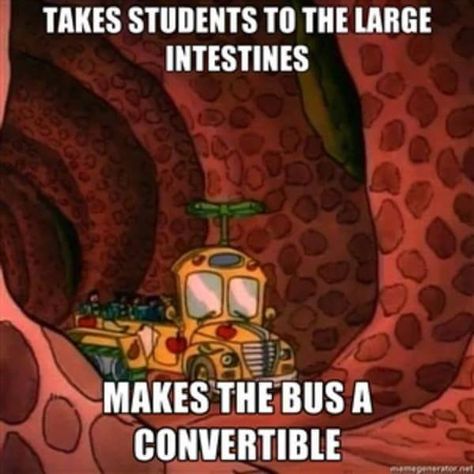 Ms Frizzle, Magic School Bus, Work Motivational Quotes, Internet Memes, 90s Kids, Cartoon Shows, Internet Funny, Trust Me