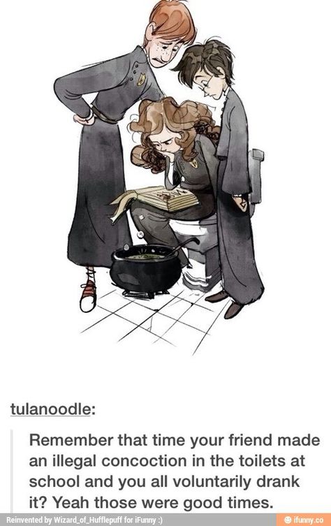 A good majority of Harry, Ron, and Hermione's exploits sound really strange, stupid, and gross when you try to describe them. Dumbledore Costume, Movies Drawing, Harry Potter Trio, Harry Potter Universe, Potter Fanart, Harry Potter Illustrations, Theme Harry Potter, Harry Potter Artwork, Images Harry Potter