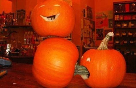 Funny Pumpkin Carvings, No Carve Pumpkin Decorating, Pumpkin Display, Halloween Pumpkin Designs, Funny Pumpkins, Halloween Pumpkins Carvings, Pumpkin Design, Hysterically Funny, Samhain