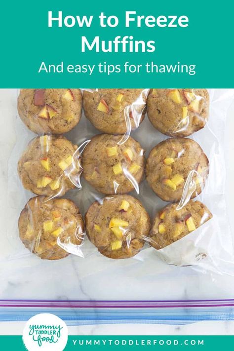 Learn how to freeze muffins to ensure they are just as good as fresh baked. With tips on storage bags and how to thaw and heat muffins, too. Healthy Muffins To Freeze, Muffin Freezer Recipes, Freezer Blueberry Muffins, Freezing Muffins Best Way To, Make Ahead Muffins To Freeze, Muffins That Freeze Well, Banana Muffins Freezer Friendly, Muffins Freezer Friendly, Freezer Friendly Muffins