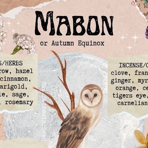 Alice Rachel Kendall Singh on Instagram: "MABON GUIDE 🍁✨🍂 I made this mini guide to capture the atmosphere of Mabon and to share a few correspondences for plants, incense, crystals, deities, animals and altar decor. If you’re celebrating Mabon soon are you excited? Creative content and collage art by @alicethestarseedwitch Follow @alicethestarseedwitch for more witchy and magical content... #Mabon #mabonguide #Mabonblessings #Maboncorrespondences #wheeloftheyear #autumnequinox" Altar Decor, Creative Content, Altar Decorations, Collage Art, Incense, To Share, Crystals, Collage, Plants