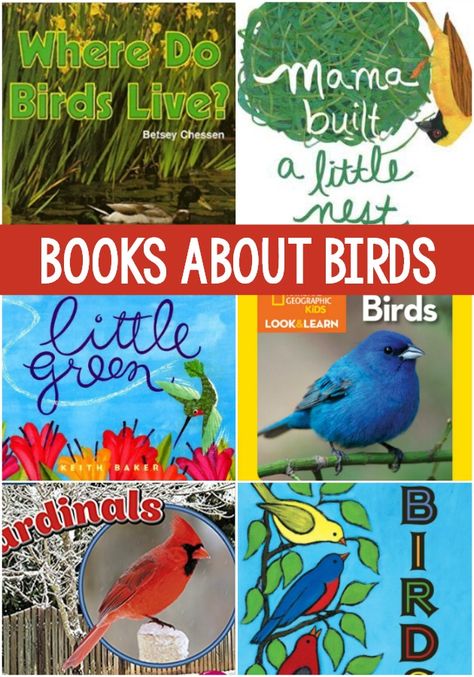 Books About Birds for Preschool. The best books for teaching and learning about birds in your preschool or kindergarten classroom. Perfect for spring! #preschool Birds For Preschoolers, Books About Birds, Birds For Kids, Literacy Activities Preschool, Pre K Pages, Preschool Art Projects, Preschool Units, Child Education, Spring Books