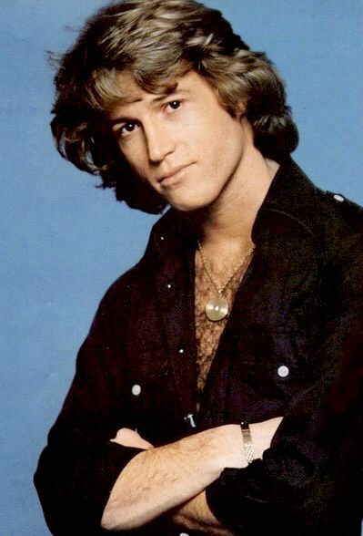 Andy Gibb - 1978 Andy Gibb 70s, Andy Roy, Suave Men, Andy Gibb, Barry Gibb, Entertainment Channel, Disco Music, Bee Gees, Bon Jovi