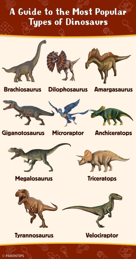 Types Of Dinosaurs Chart, Dinosaur Encyclopedia, Dinosaur Anatomy, Dinosaur Template, Types Of Dinosaurs, Dinosaur Types, Dinosaur Facts, Dinosaur Train, Bird Types