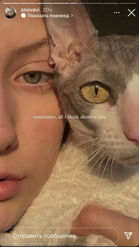 Dog Captions For Insta, Funny Cat Captions, Cat Captions, Artsy Pictures, Cute Inspirational Quotes, Cat Post, Cat Stories, Selfie Poses Instagram, Dog Stories