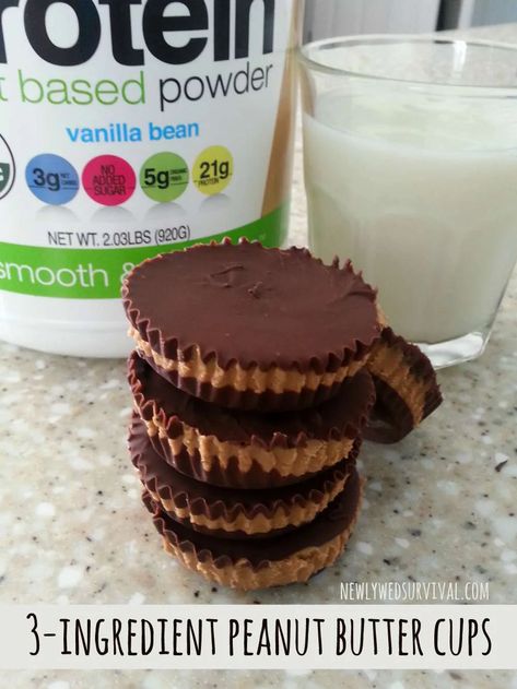 Protein Peanut Butter, Peanut Butter Cups Recipe, Organic Protein Powder, Homemade Peanut Butter Cups, Food Protein, High Protein Desserts, Protein Treats, Protein Powder Recipes, Protein Desserts