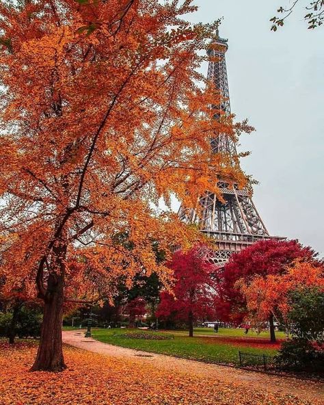 Paris In Autumn, Paris Wallpaper, Beautiful Paris, Autumn Scenes, Paris Photo, Autumn Scenery, Fall Pictures, The Eiffel Tower, Fall Wallpaper