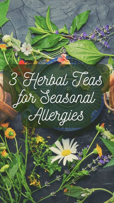 Herbal Tea For Seasonal Allergies Diy Allergy Relief, Tea For Allergies, Natural Allergy Relief Remedies, Herbs For Allergies, Seasonal Allergy Relief, Fall Allergies, Natural Allergy Relief, Home Remedies For Allergies, Natural Remedies For Migraines