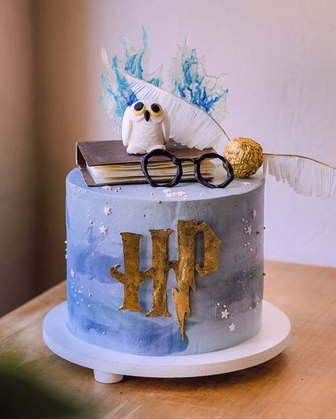 Bianka Bruder (@bianka.b.bruder) • Instagram-fényképek és -videók Harry Potter Theme Cake, Harry Potter Theme Birthday, Harry Potter Colors, 9th Birthday Cake, Harry Potter Birthday Cake, Harry Potter Bday, 6th Birthday Cakes, Magic Theme, Harry Potter Items