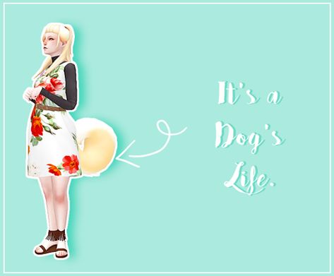 toskami: toskami: CONTAINS: Dog ears Dog... | love 4 cc finds Sims 4 Dog, Animal Tails, Sims 4 Game Mods, Sims 4 Expansions, Sims 4 Cc Folder, Play Sims, Dog Ears, Sims 4 Dresses, Sims 4 Characters