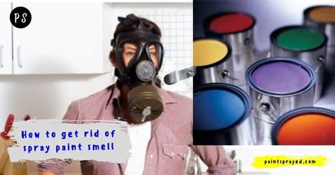 Today I have come up with the solutions to get rid of the spray paint smell from your clothes. Paint Smell, Spray Paints, House Smells, Paint Cans, Spray Painting, Spray Paint, Spray, Paint, Clothes