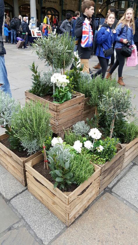 Crate Garden, Herb Garden Pallet, Apple Crate, Apple Crates, Pallets Garden, Planter Ideas, Diy Garden Projects, Garden Boxes, Diy Planters