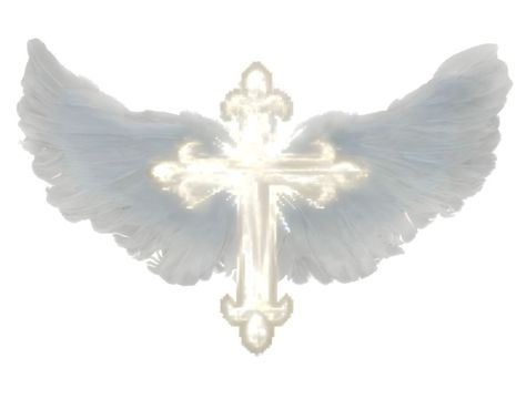 angel energy Angel Png Aesthetic, White Cross Aesthetic, Cross Png Aesthetic, Cross Pfp, Angel Wings Icon, Angel Wings Png, Seraph Angel, Wings Icon, Wings Png