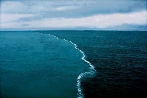 Sea barrier miracle in the Gulf of Alaska-2 oceans meet, but do not mix Two Oceans Meet, Gulf Of Alaska, Glaciers Melting, Image Nature, Alaskan Cruise, North Sea, Natural Phenomena, Skagen, Salt And Water