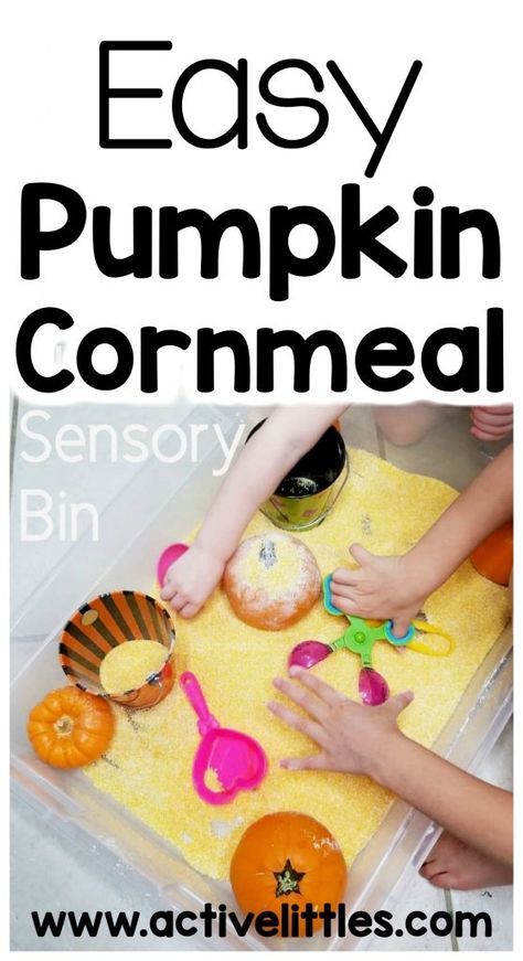 Easy Pumpkin Cornmeal Sensory Bin  - Active Littles Pumpkin Sensory Bin, Pie Sensory Bin, Pumpkin Sensory, Sensory Bin For Toddlers, Fall Sensory Bin, Diy Kid Activities, Kids Activities At Home, Toddler Themes, Halloween Sensory