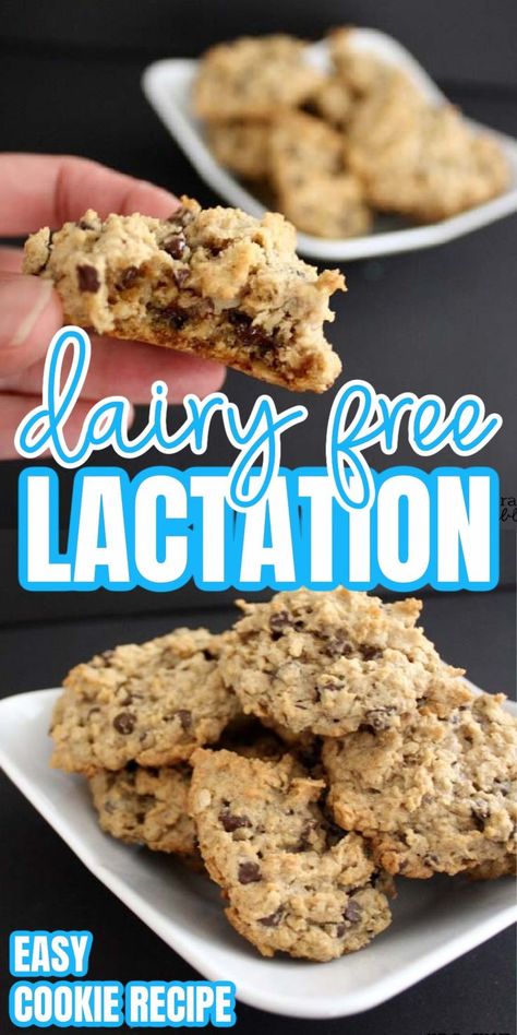 Dairy Free Lactation Cookies, Breastfeeding Cookies, Delicious Chocolate Chip Cookies, Lactation Cookies Recipe, Dairy Free Breastfeeding, Dairy Free Chocolate Chips, Breastfeeding Foods, Lactation Recipes, Lactation Cookies