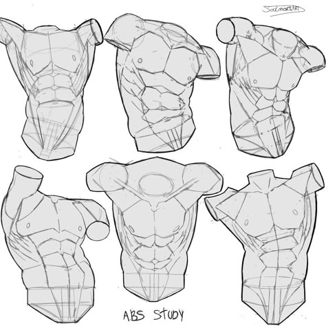 Side Muscles Anatomy, Men With Abs Drawing, Abs Anatomy Reference, Human Body Reference Poses, Anatomy Torso Reference, Man Torso Drawing, Abs Tutorial Drawing, Muscles Reference Drawing, Male Chest Anatomy