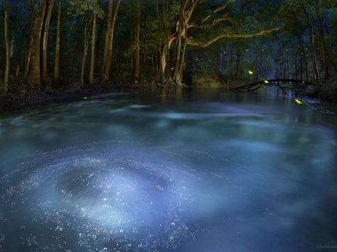 . Magic Pool Fantasy Art, Forest Pool, Gacha Background, Dark Naturalism, Magic Places, Florida Springs, Springs Florida, Couples Poses, Spring Nature